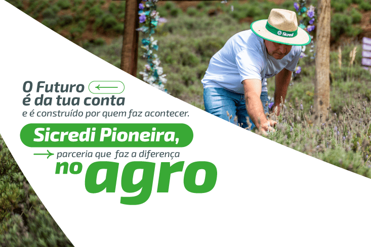 Tudo o que o seu agronegócio precisa para crescer e prosperar: conheça as soluções da Sicredi Pioneira